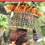 Read more about the article Corrigendum