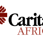 Read more about the article Caritas Africa recrute un Chargé du partenariat et de la Mobilisation des Ressources