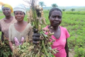 Read more about the article Position of Caritas Africa, SECAM and JENA on the UN Food Systems Summit