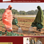 Read more about the article Le numéro 49 du Bulletin d’information des Caritas d’Afrique – Caritas Africa Info est disponible.